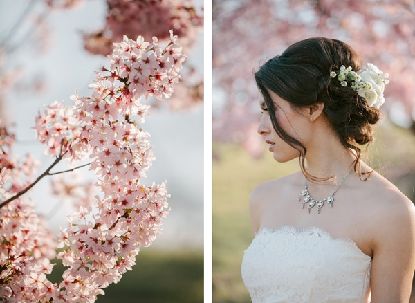 Cherry Blossom Wedding