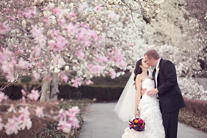 Cherry Blossoms Wedding