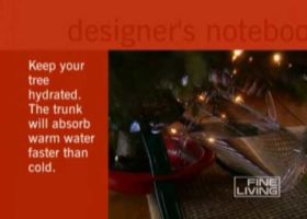 Your Holiday Tree-Fine Living